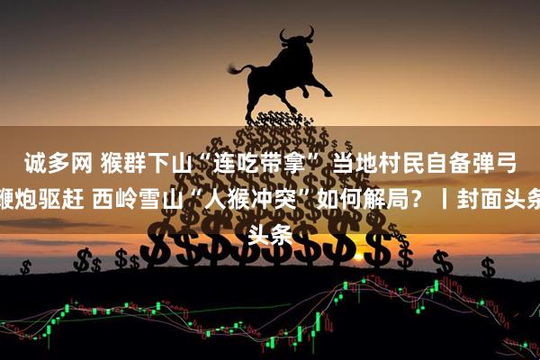 诚多网 猴群下山“连吃带拿” 当地村民自备弹弓鞭炮驱赶 西岭雪山“人猴冲突”如何解局？丨封面头条